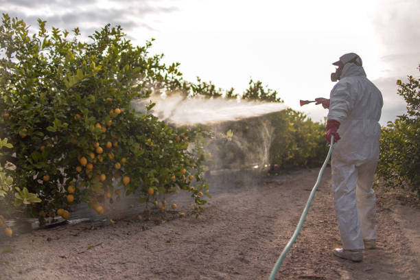 Best Insect Control  in Southfield, MI
