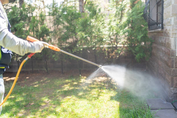 Best Termite Control Services  in Southfield, MI