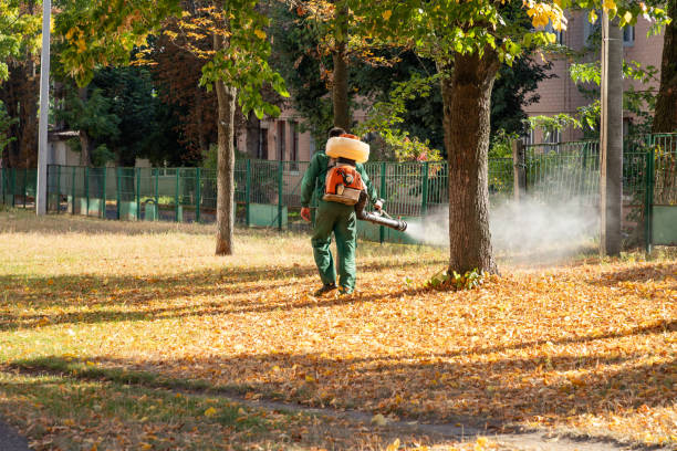 Bird Control in Southfield, MI