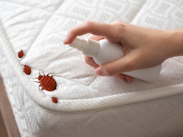 Best Affordable Pest Control Services  in Southfield, MI