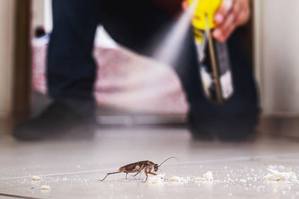 Best Pest Control Near Me  in Southfield, MI