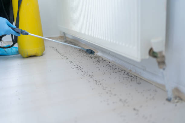 Best Commercial Pest Control Services  in Southfield, MI